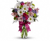 Pretty Please in McDonough GA Absolutely and McDonough Flowers & Gifts