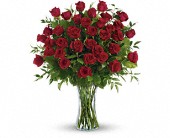 Breathtaking Beauty - 3 Dozen Long Stemmed Roses in McDonough GA Absolutely Flowers