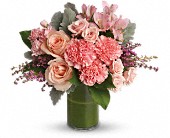 Polished Pinks in McDonough GA Absolutely and McDonough Flowers & Gifts