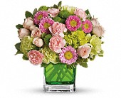 Make Her Day by Teleflora in McDonough GA Absolutely and McDonough Flowers & Gifts