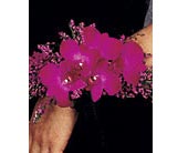 Purple Paradise Wristlet in McDonough GA, Absolutely Flowers