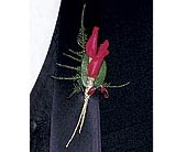 Red Rose Petals Boutonniere in McDonough GA, Absolutely Flowers