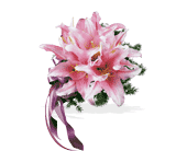 Oriental Lilies Nosegay in McDonough GA, Absolutely Flowers