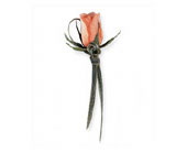 Peach Promise Boutonniere in McDonough GA, Absolutely Flowers