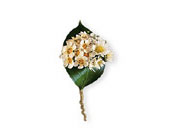 Tiny Blossoms Boutonniere in McDonough GA, Absolutely Flowers