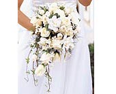 White Cascade Bridal Bouquet in McDonough GA, Absolutely Flowers