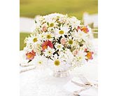 Daisy Joy Centerpiece in McDonough GA, Absolutely Flowers