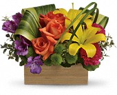 Teleflora's Shades Of Brilliance Bouquet in McDonough GA, Absolutely and McDonough Flowers & Gifts