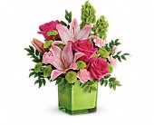 Teleflora's In Love With Lime Bouquet in McDonough GA Absolutely and McDonough Flowers & Gifts