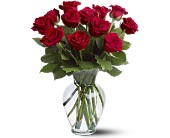 12 Red Roses in McDonough GA, Absolutely Flowers