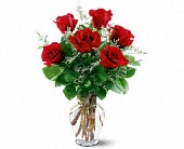 6 Red Roses in McDonough GA, Absolutely Flowers