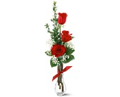 3 Red Roses in McDonough GA, Absolutely Flowers