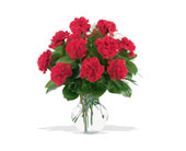 12 Red Carnations in McDonough GA, Absolutely Flowers