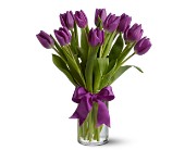 Teleflora's Passionate Purple Tulips in McDonough GA, Absolutely Flowers