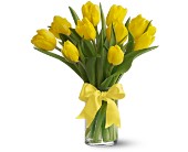 Teleflora's Sunny Yellow Tulips in McDonoughGA, Absolutely Flowers