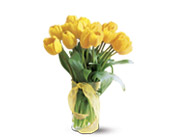 Spring Tulips Deluxe - Yellow in McDonoughGA, Absolutely Flowers