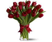 Teleflora's Radiantly Red Tulips - Deluxe in McDonoughGA, Absolutely Flowers