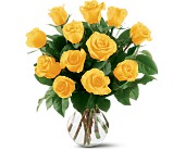 12 Yellow Roses in McDonough GA, Absolutely Flowers