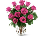 12 Hot Pink Roses in McDonough GA, Absolutely Flowers