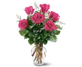 6 Hot Pink Roses in McDonough GA, Absolutely Flowers