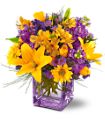 Teleflora's Morning Sunrise Bouquet in McDonough GA Absolutely Flowers