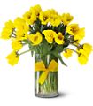 Teleflora's Sunny Yellow Tulips  Premium in McDonough GA Absolutely Flowers