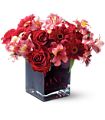 Teleflora's Wild Berry in McDonough GA Absolutely Flowers