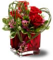 Teleflora's Sweet Thoughts in McDonough GA Absolutely Flowers