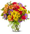 Make a Wish in McDonough GA Absolutely Flowers