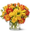 Summer Samba in McDonough GA Absolutely Flowers