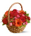 Warm Wishes in McDonough GA Absolutely Flowers