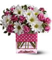 Teleflora's Polka Dots and Posies in McDonough GA Absolutely Flowers