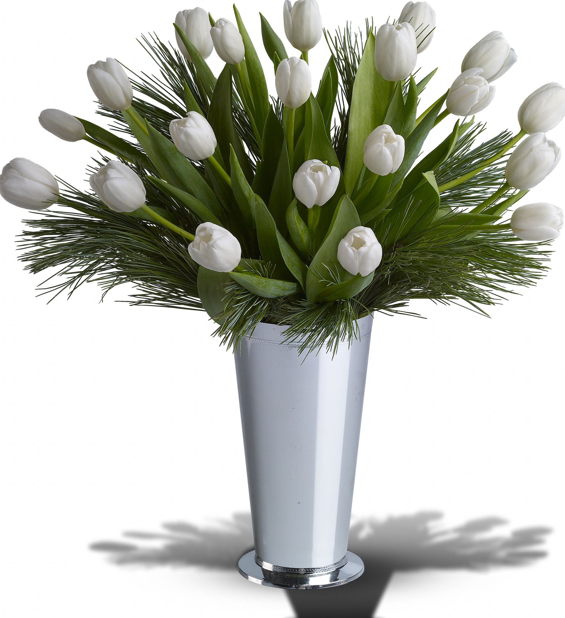 Tulips and Pine Deluxe in McDonough GA Absolutely Flowers