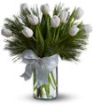 Tulips and Pine in McDonough GA Absolutely Flowers