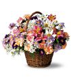 Country Days in McDonough GA Absolutely Flowers