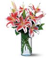 Lovely Lilies in McDonough GA Absolutely Flowers