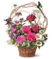Touch of Butterflies in McDonough GA Absolutely Flowers
