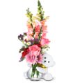 Teleflora's Bear Hug Bear with Pink Roses in McDonough GA Absolutely Flowers
