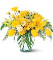 Sunshine Express in McDonough GA Absolutely Flowers