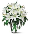 Perfect White Lilies in McDonough GA Absolutely Flowers