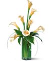 White Callas in McDonough GA Absolutely Flowers