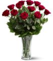 A Dozen Premium Red Roses in McDonough GA Absolutely Flowers