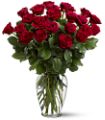 Two Dozen Red Roses in McDonough GA Absolutely Flowers
