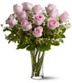 A Dozen Pink Roses in McDonough GA Absolutely Flowers
