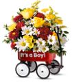 Teleflora's Baby's First Wagon - Boy in McDonough GA Absolutely Flowers