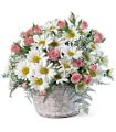 Posy Basket in McDonough GA Absolutely Flowers