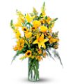 Burst of Yellow in McDonough GA Absolutely Flowers