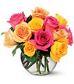 Multi-Colored Roses in McDonough GA Absolutely Flowers