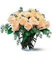White Roses in McDonough GA Absolutely Flowers