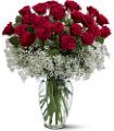 Field of Roses in McDonough GA Absolutely Flowers